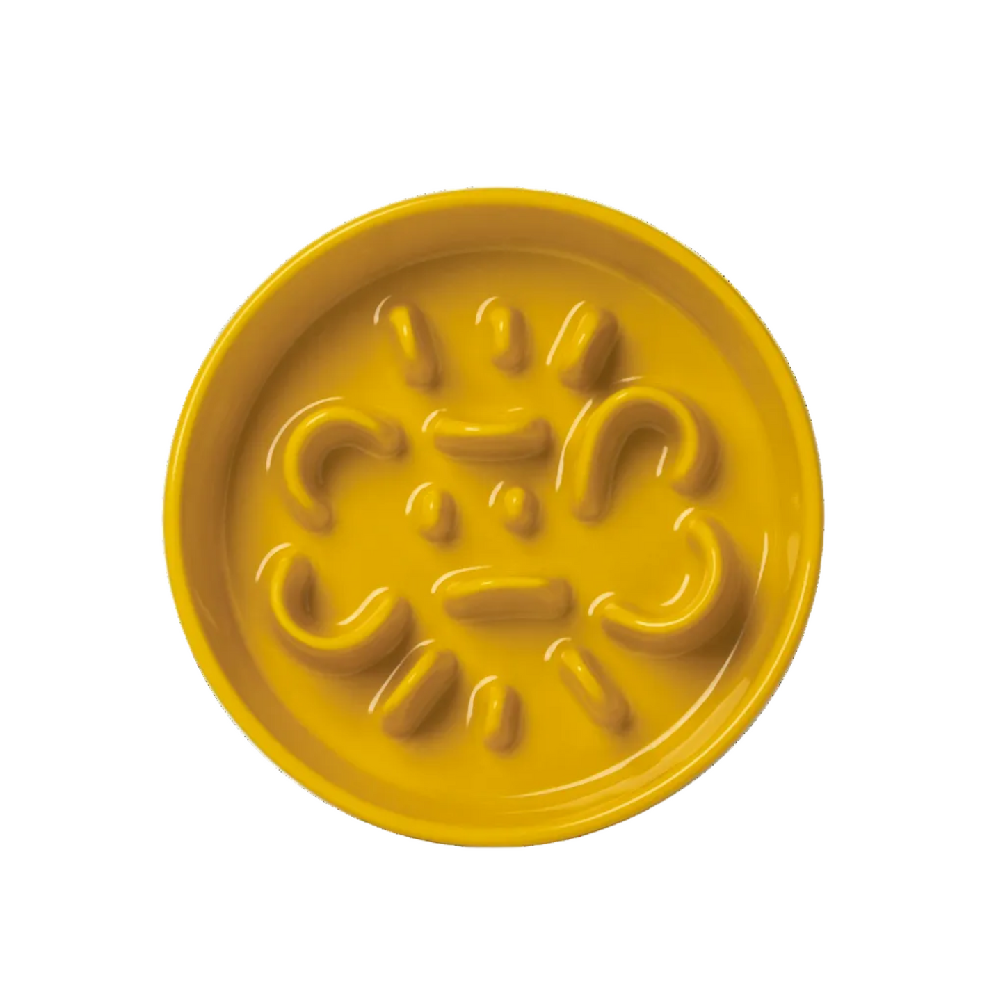 Slow Feeder Circular Bone Shaped Grooved Bowl