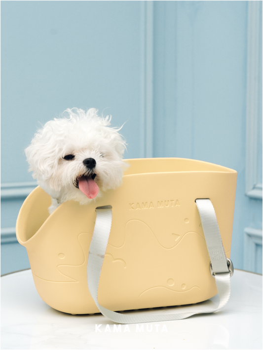 Mini Lightweight Waterproof Pet Tote Bag Carrier