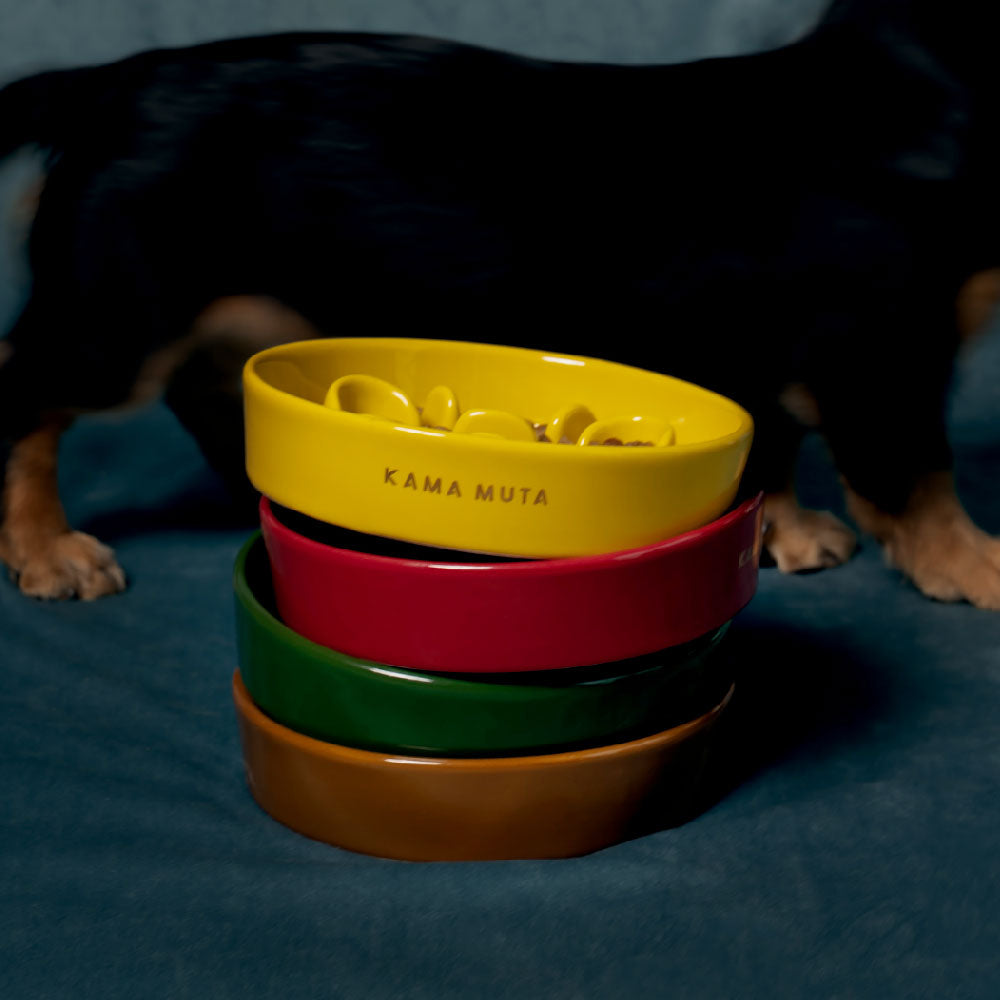 Slow Feeder Circular Bone Shaped Grooved Bowl