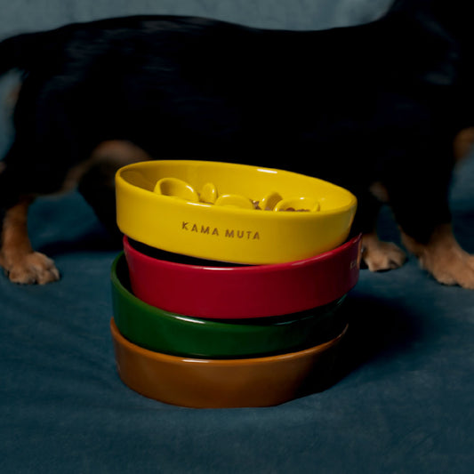 Slow Feeder Circular Bone Shaped Grooved Bowl