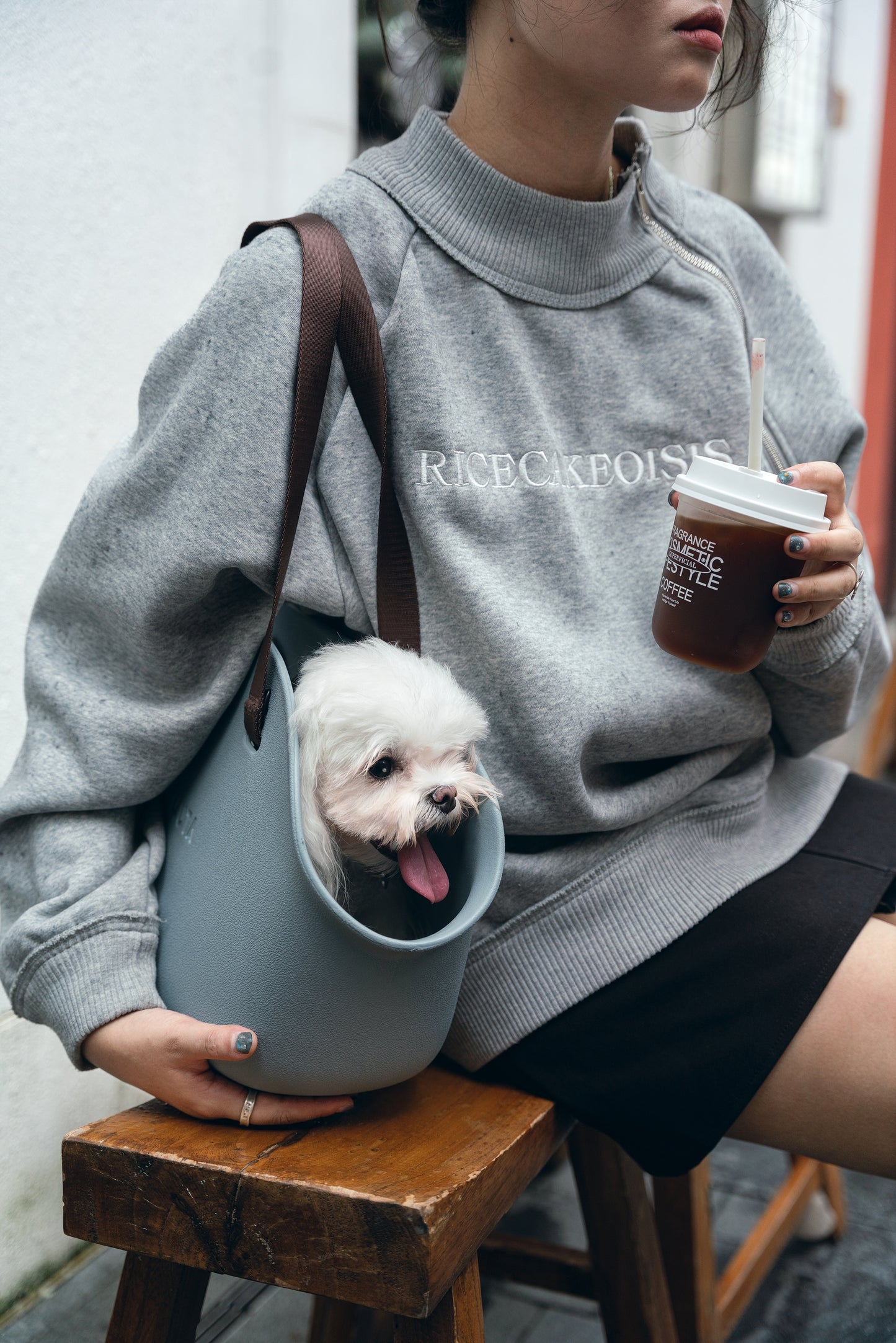 Mini Lightweight Waterproof Pet Tote Bag Carrier