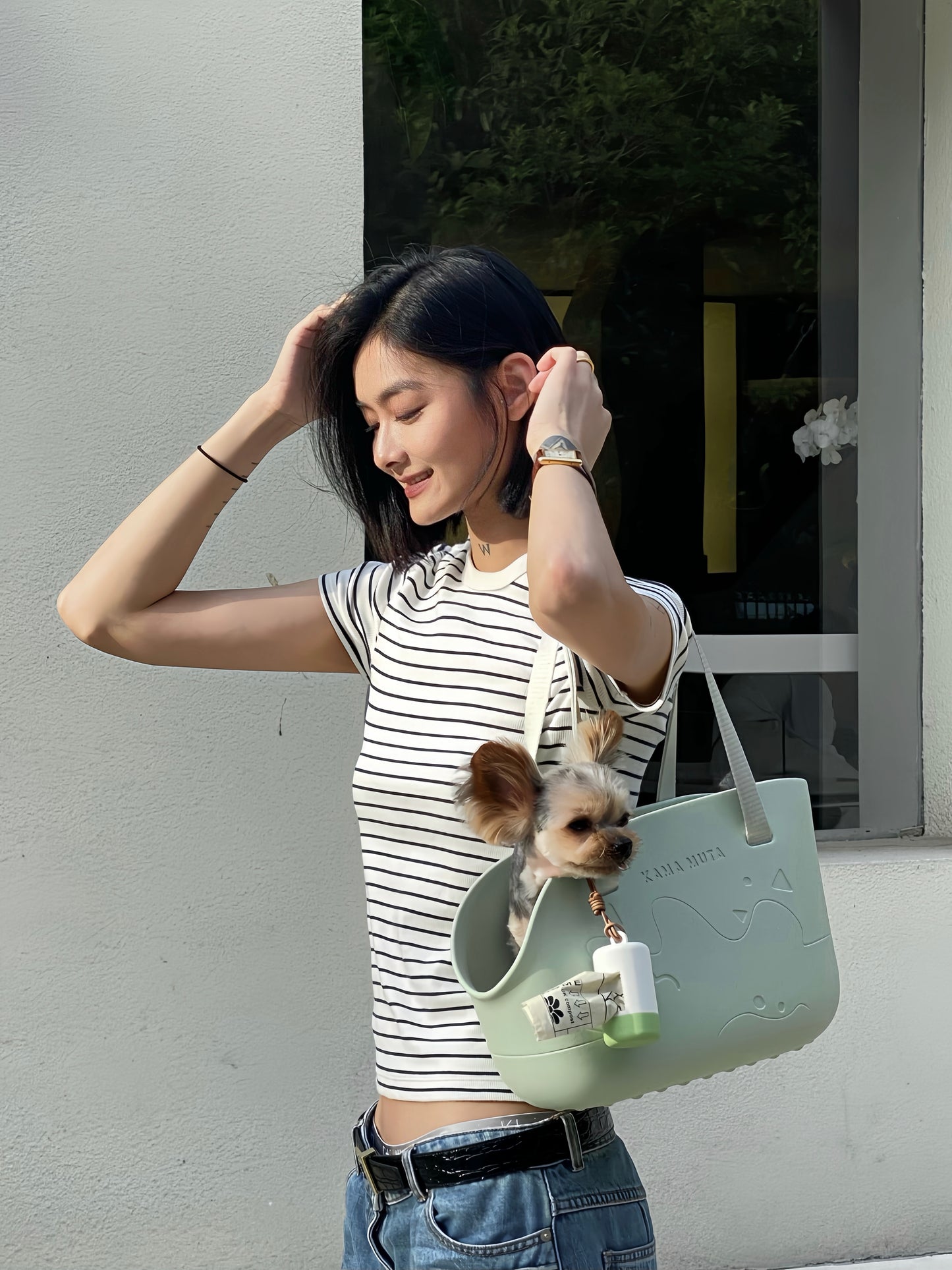 Mini Lightweight Waterproof Pet Tote Bag Carrier