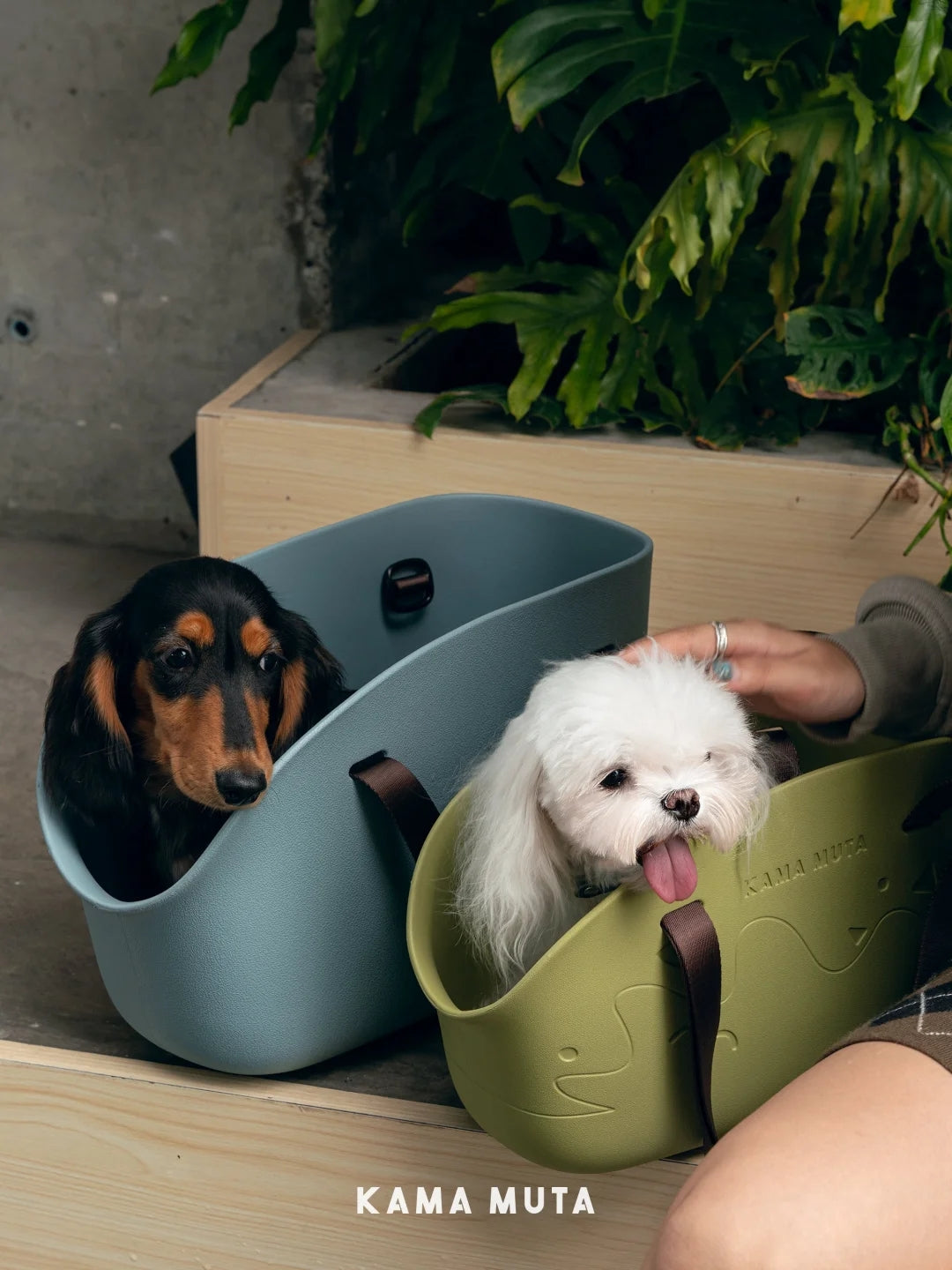 Mini Lightweight Waterproof Pet Tote Bag Carrier