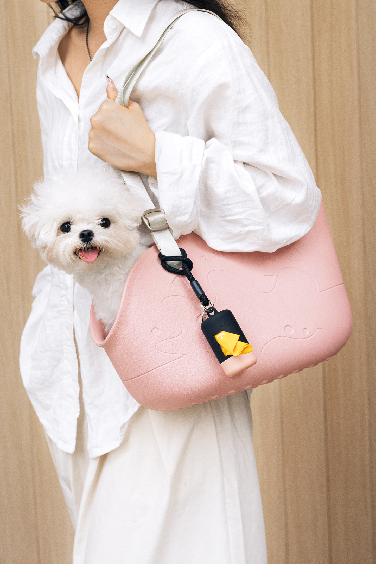Mini Lightweight Waterproof Pet Tote Bag Carrier