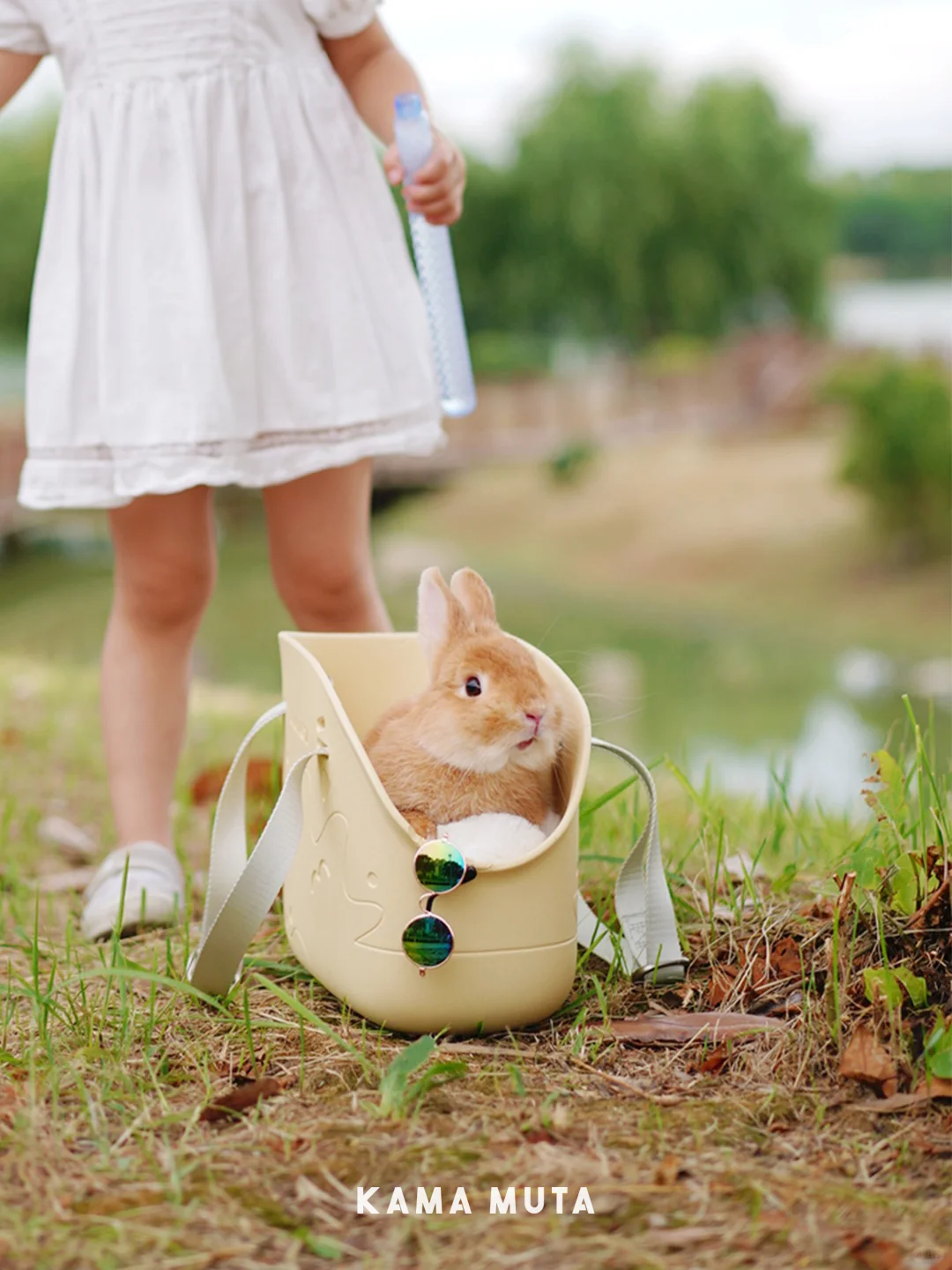 Mini Lightweight Waterproof Pet Tote Bag Carrier