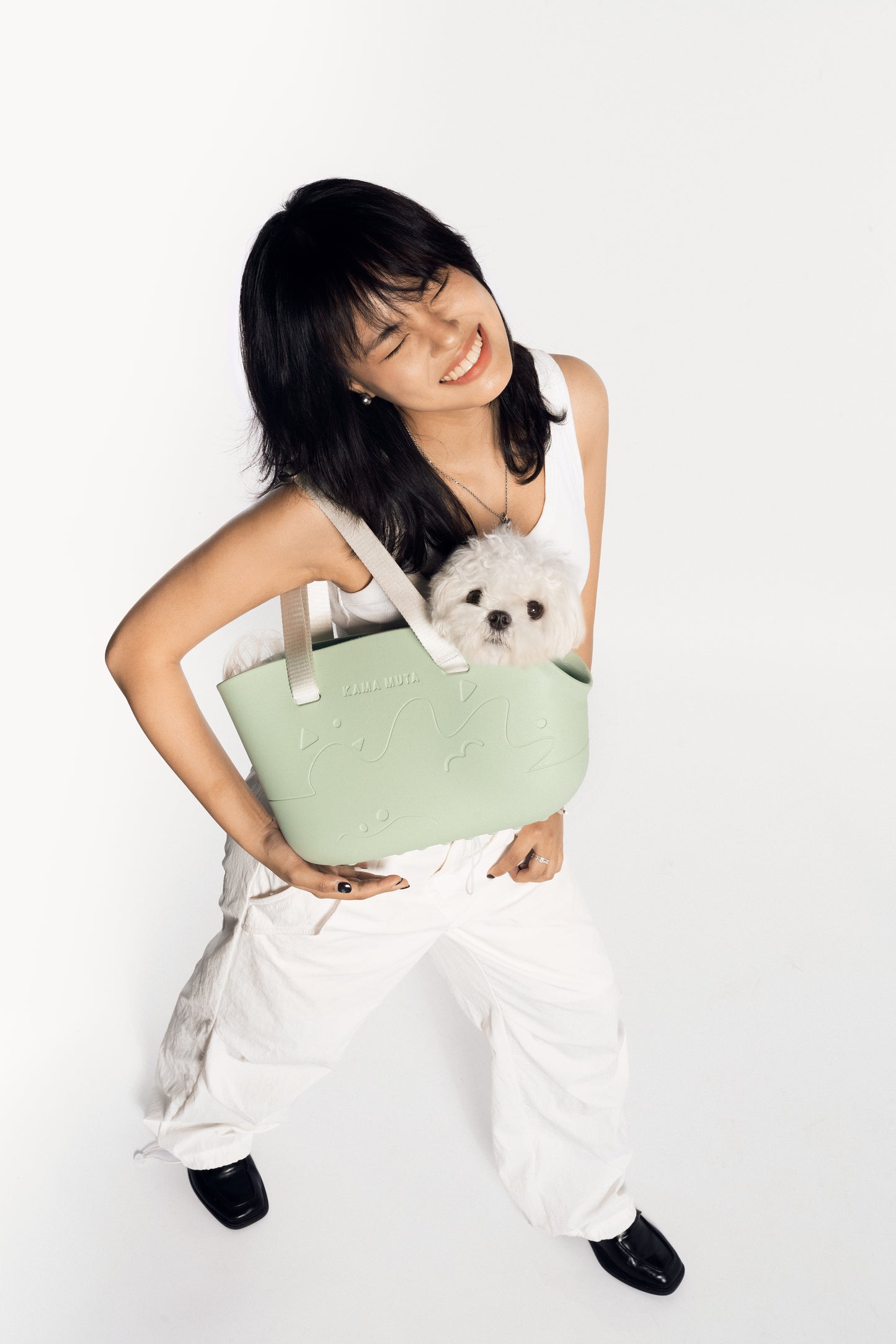 Mini Lightweight Waterproof Pet Tote Bag Carrier