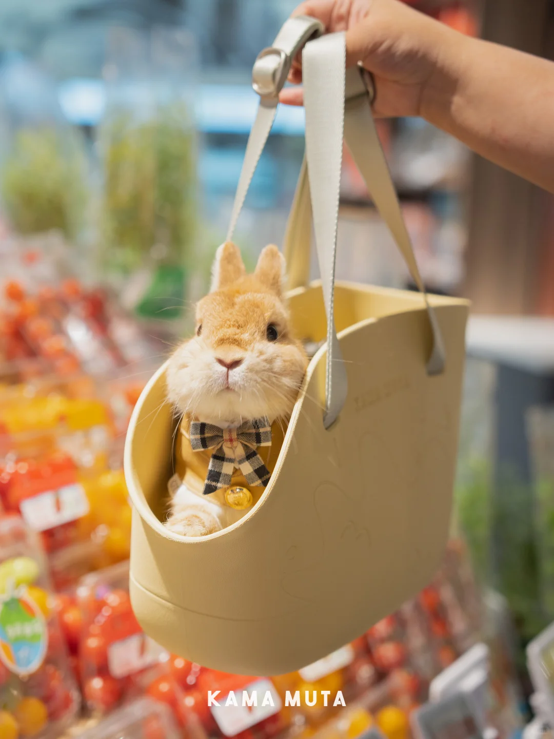 Mini Lightweight Waterproof Pet Tote Bag Carrier
