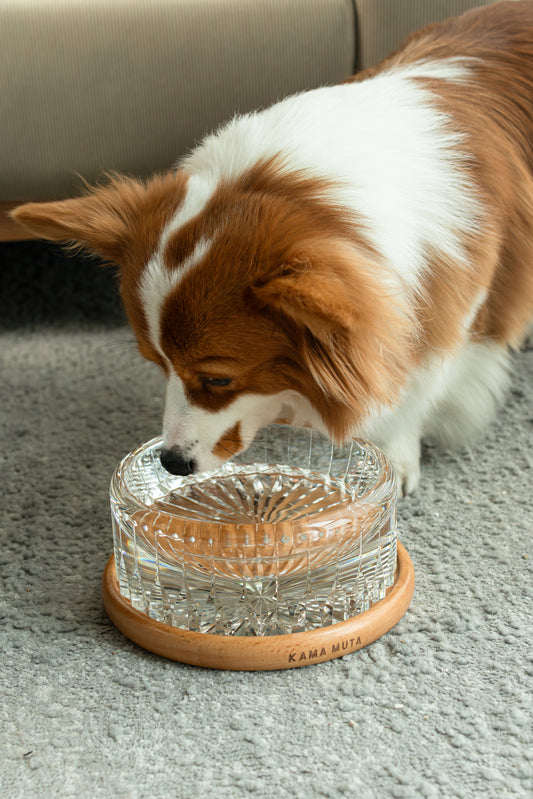 Handcrafted Edo Kiriko Crystal Water Bowl