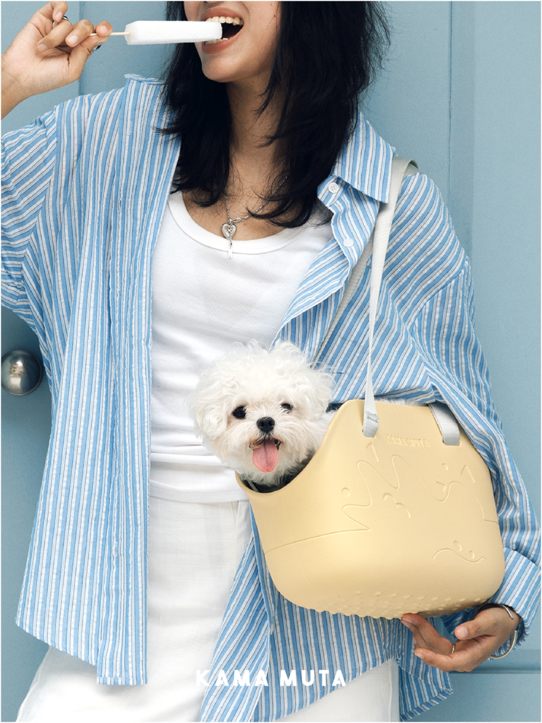 Mini Lightweight Waterproof Pet Tote Bag Carrier