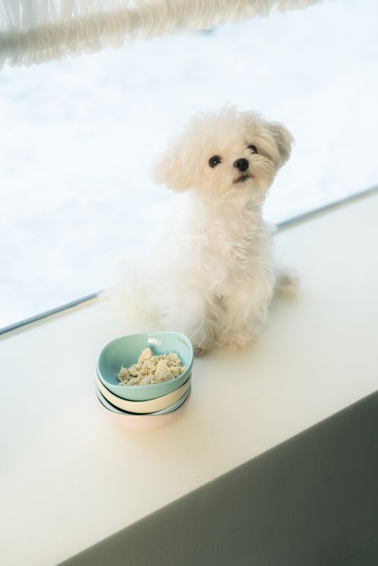 Mini Pod Shaped Pet Bowl (Dark Palette)