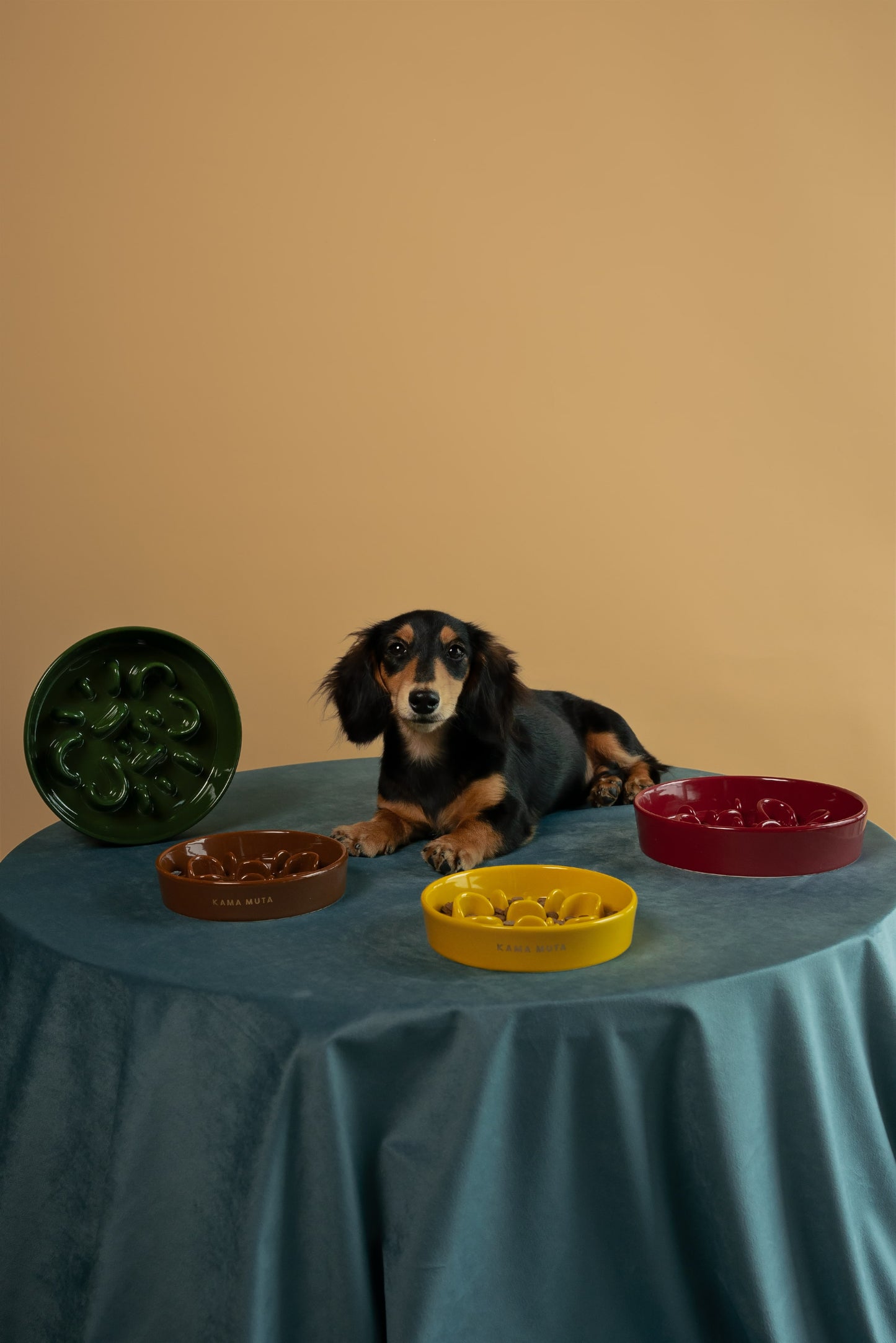 Slow Feeder Circular Bone Shaped Grooved Bowl