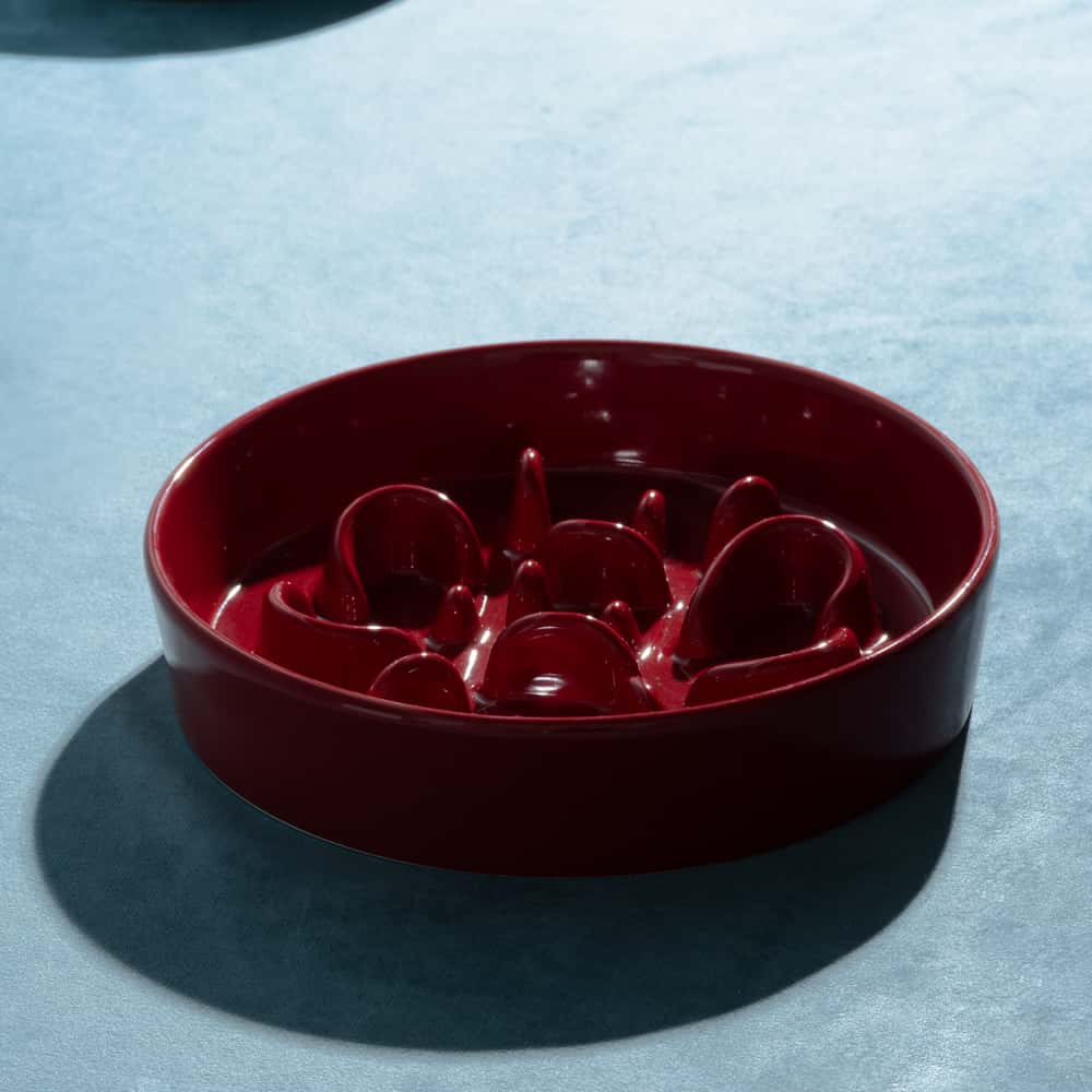 Slow Feeder Circular Bone Shaped Grooved Bowl