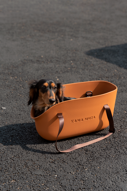 Lightweight Waterproof Pet Tote Bag Carrier