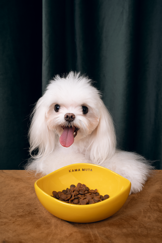 Pod Shaped Pet Bowl (Dark Palette)