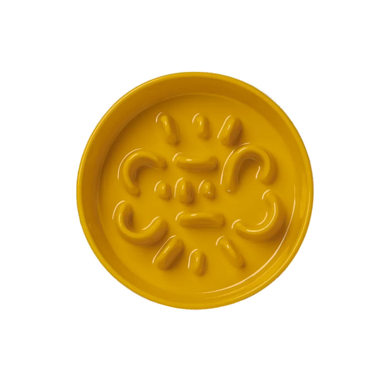 Slow Feeder Circular Bone Shaped Grooved Bowl