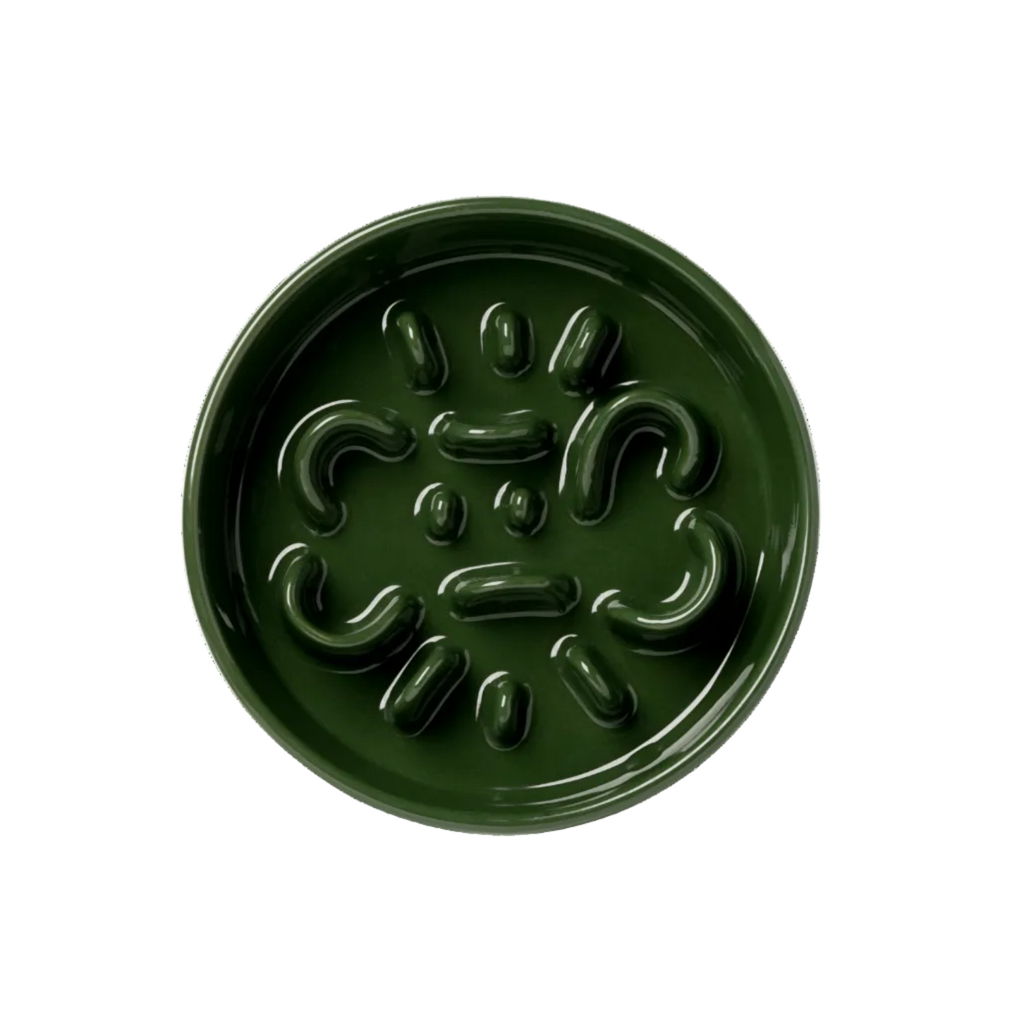 Slow Feeder Circular Bone Shaped Grooved Bowl
