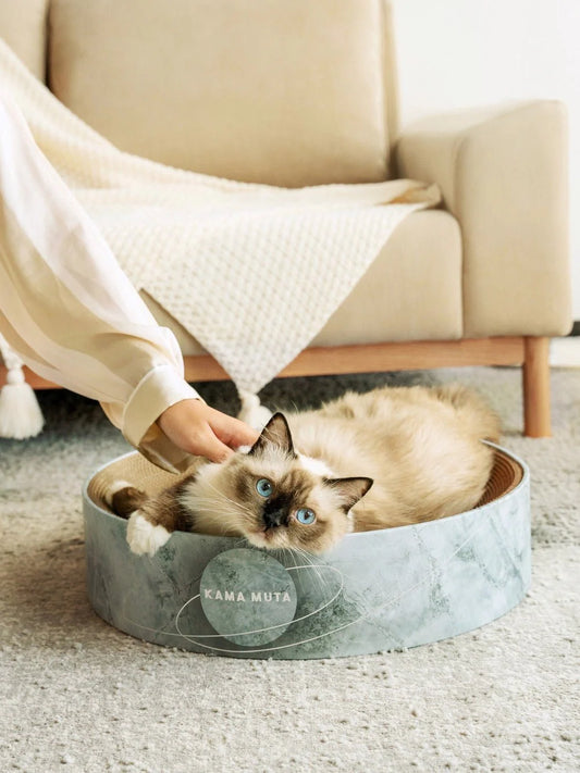 Circular Dome Cat Scratching Cardboard Scratcher