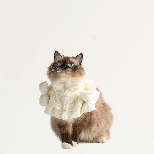 Frilly Taffeta Pet Scarf