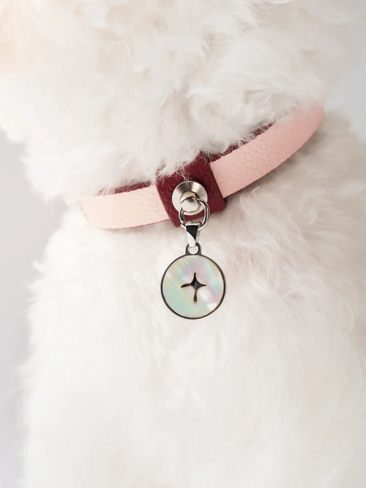 Gemstone Pet Collar For Small Cats and Dogs