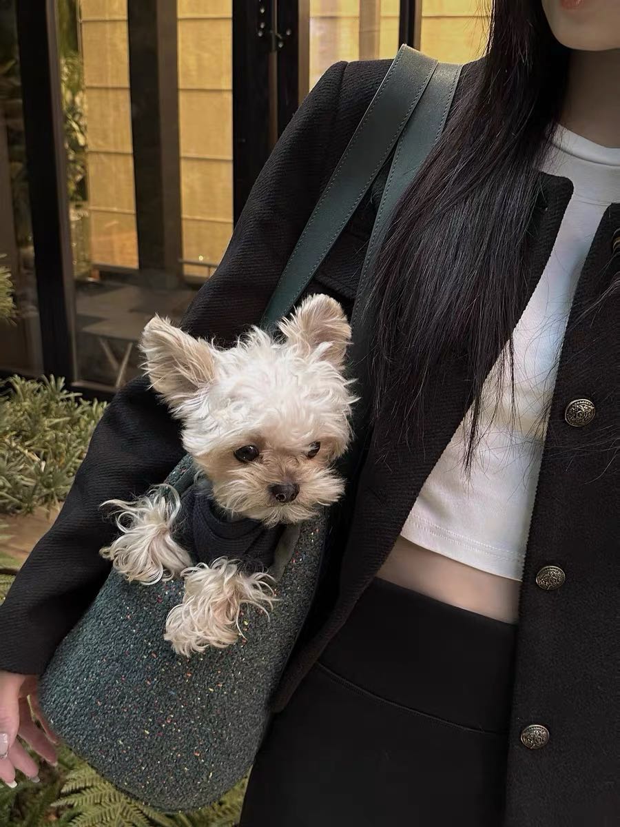 Mini Tweed Pet Tote Bag Carrier