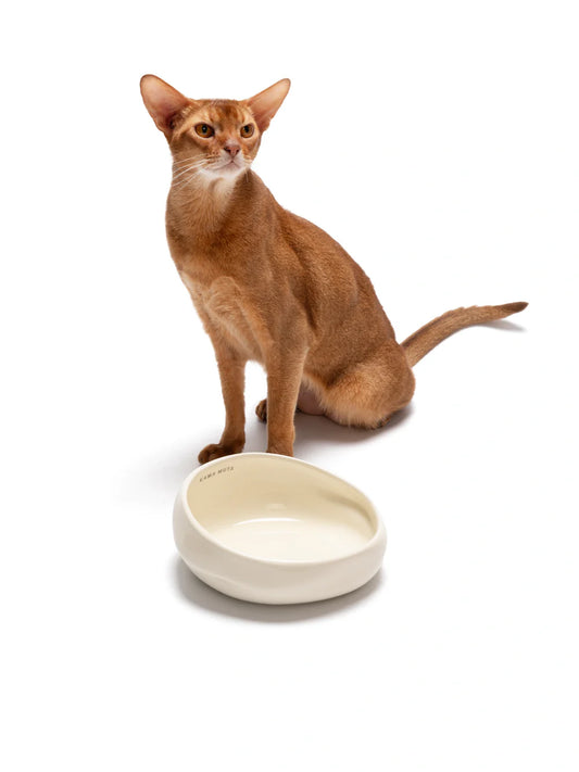 Ceramic Elemental Lake Pet Water Bowl