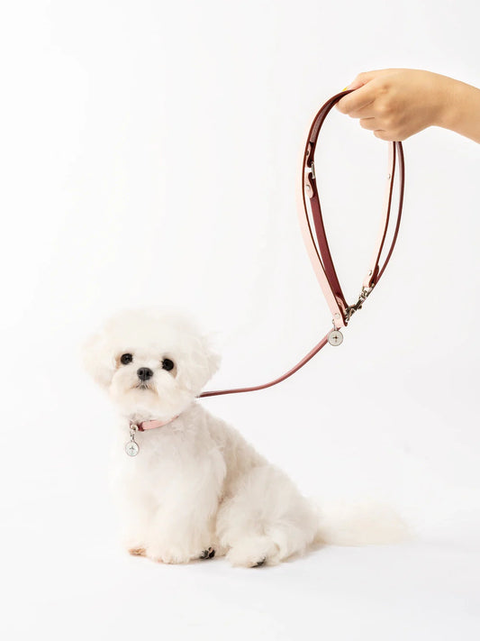 Gemstone Pet Leash For Small Cats and Dogs