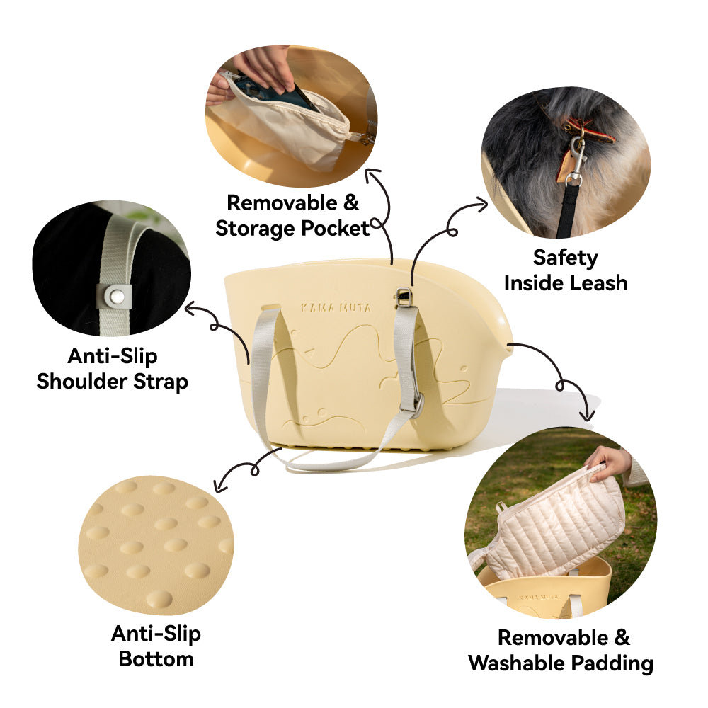 Mini Lightweight Waterproof Pet Tote Bag Carrier